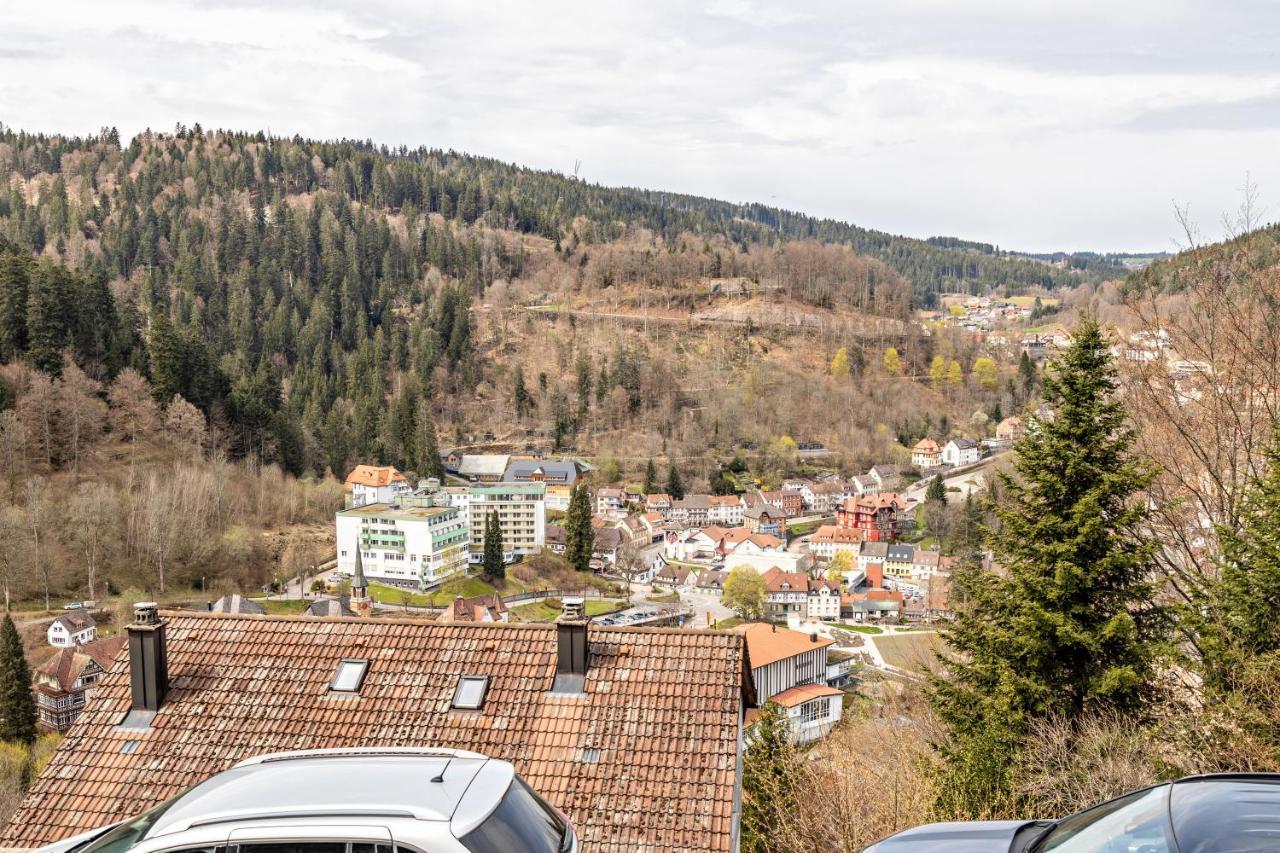 Ferienappartement Sonnenhof Triberg im Schwarzwald Exterior foto